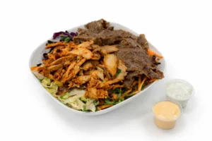 Beef & Chicken Plate Rice